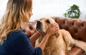 女性が犬を撫でている