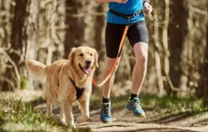 シベリアンハスキー犬と一緒に走る男性